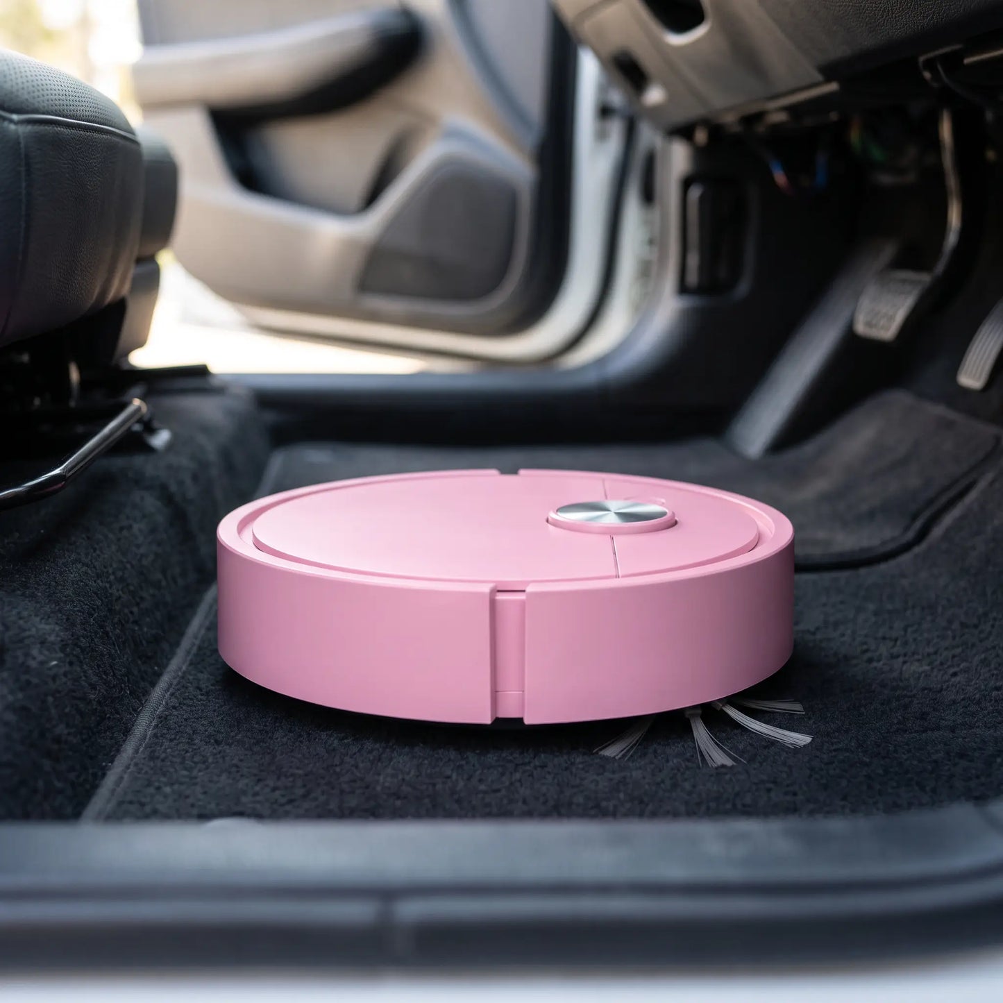 HorseVac One in the passenger footwell